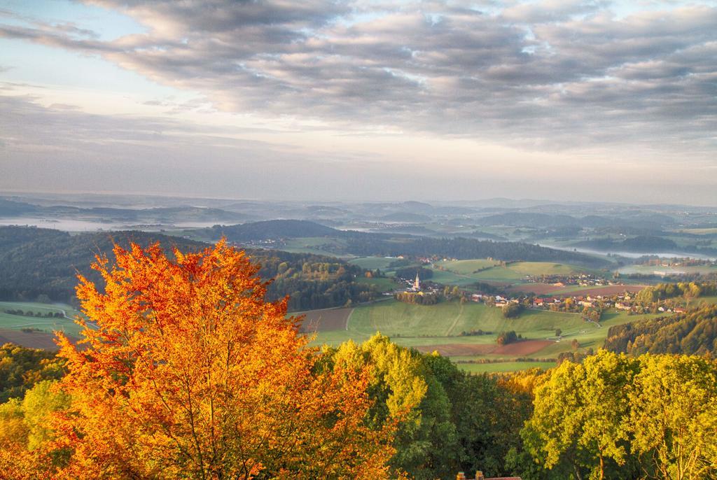 Ferienwohnungen-Bendler Freyung Rum bild